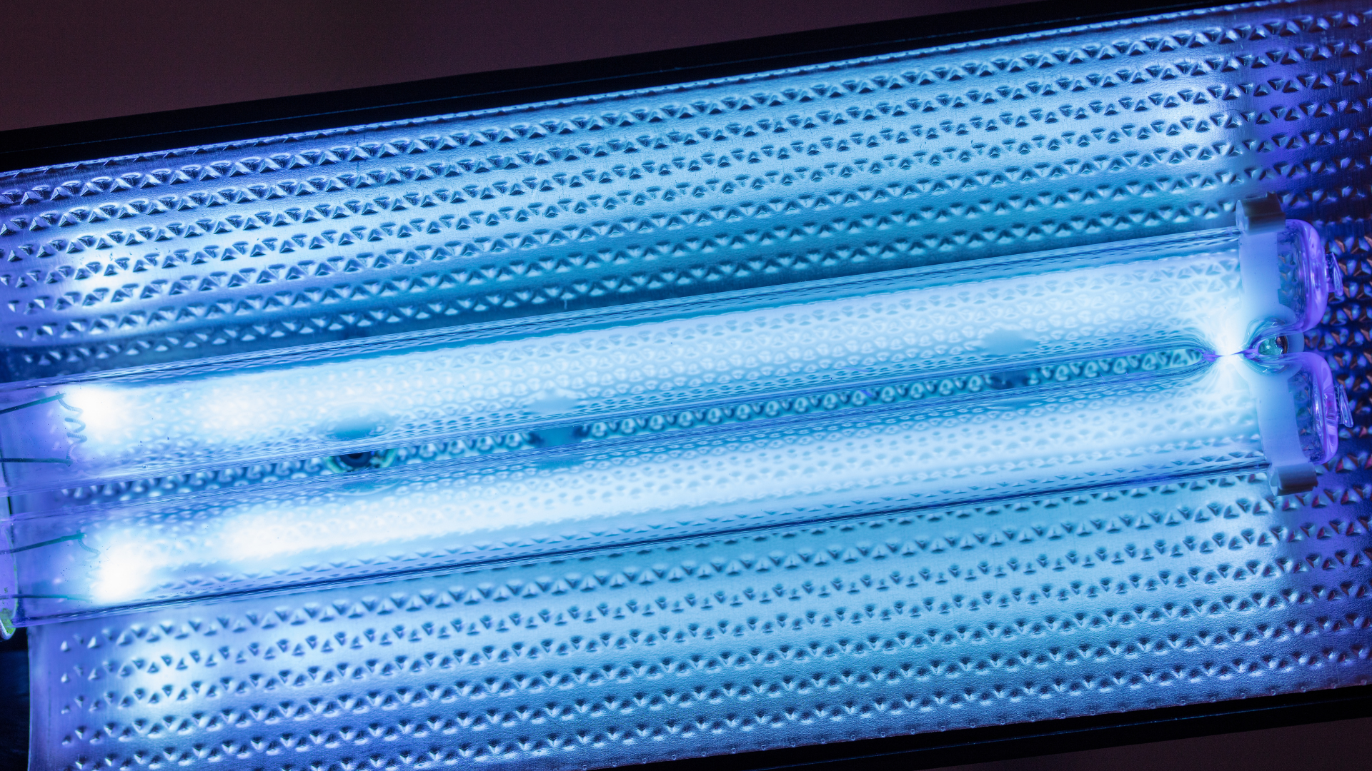 Blue UV Light